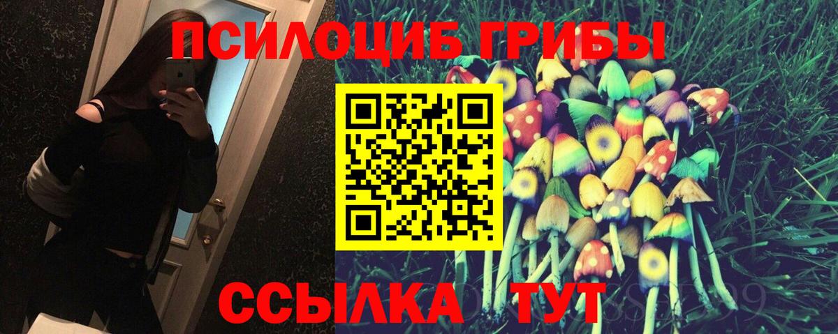 Галлюциногенные грибы MAGIC MUSHROOMS  Галлюциногенные грибы MAGIC MUSHROOMS  Вход с VPN  Грязи 