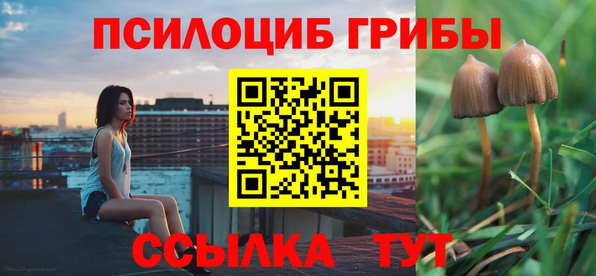 Галлюциногенные грибы MAGIC MUSHROOMS Грязи